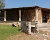 Specchia, ,Masseria,In Vendita,1141