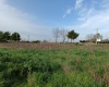 morciano di leuca, 73040, 4 Stanze Stanze,2 BathroomsBathrooms,Villa,In Vendita,1282